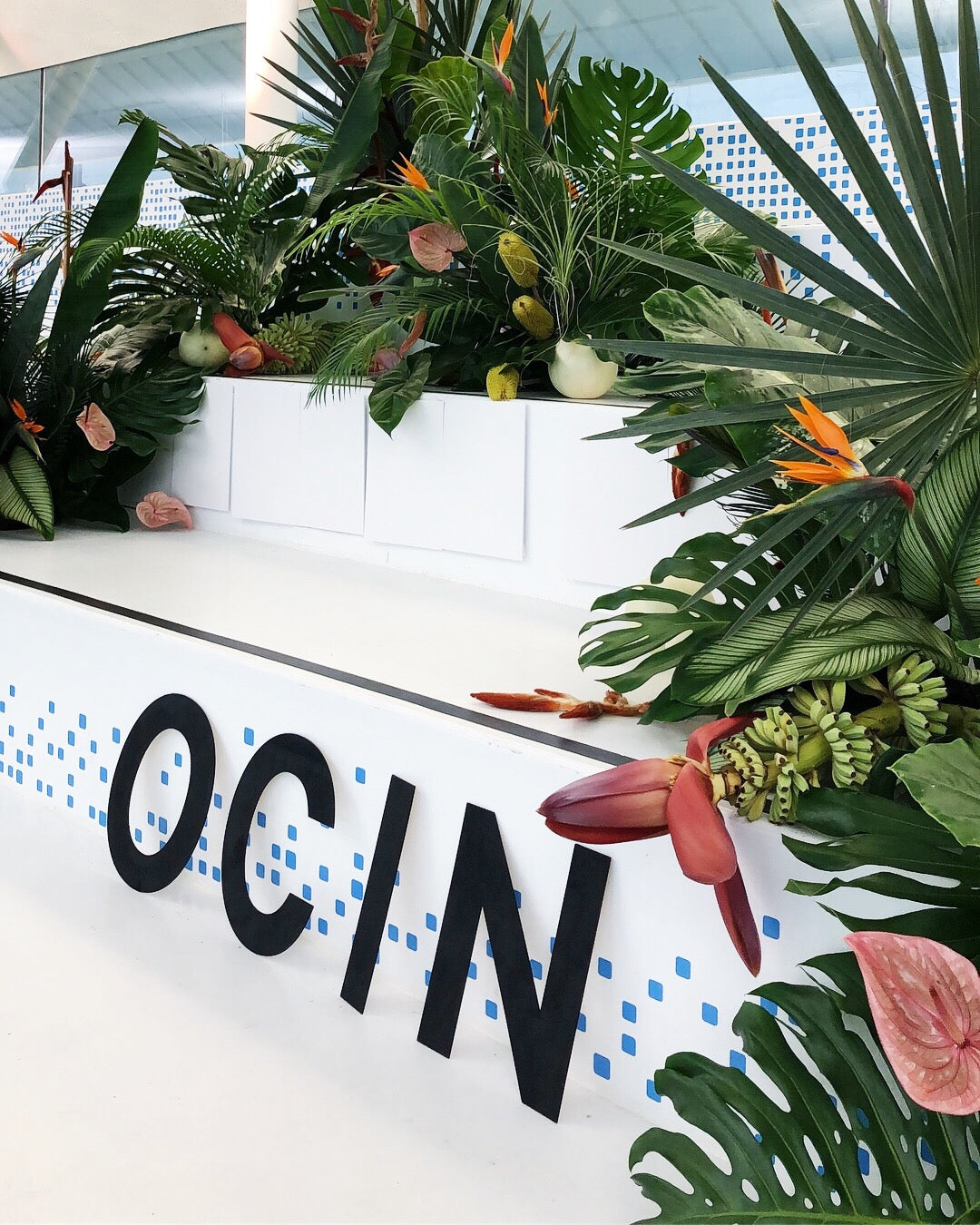 A launch to remember – OCIN | ocin.co