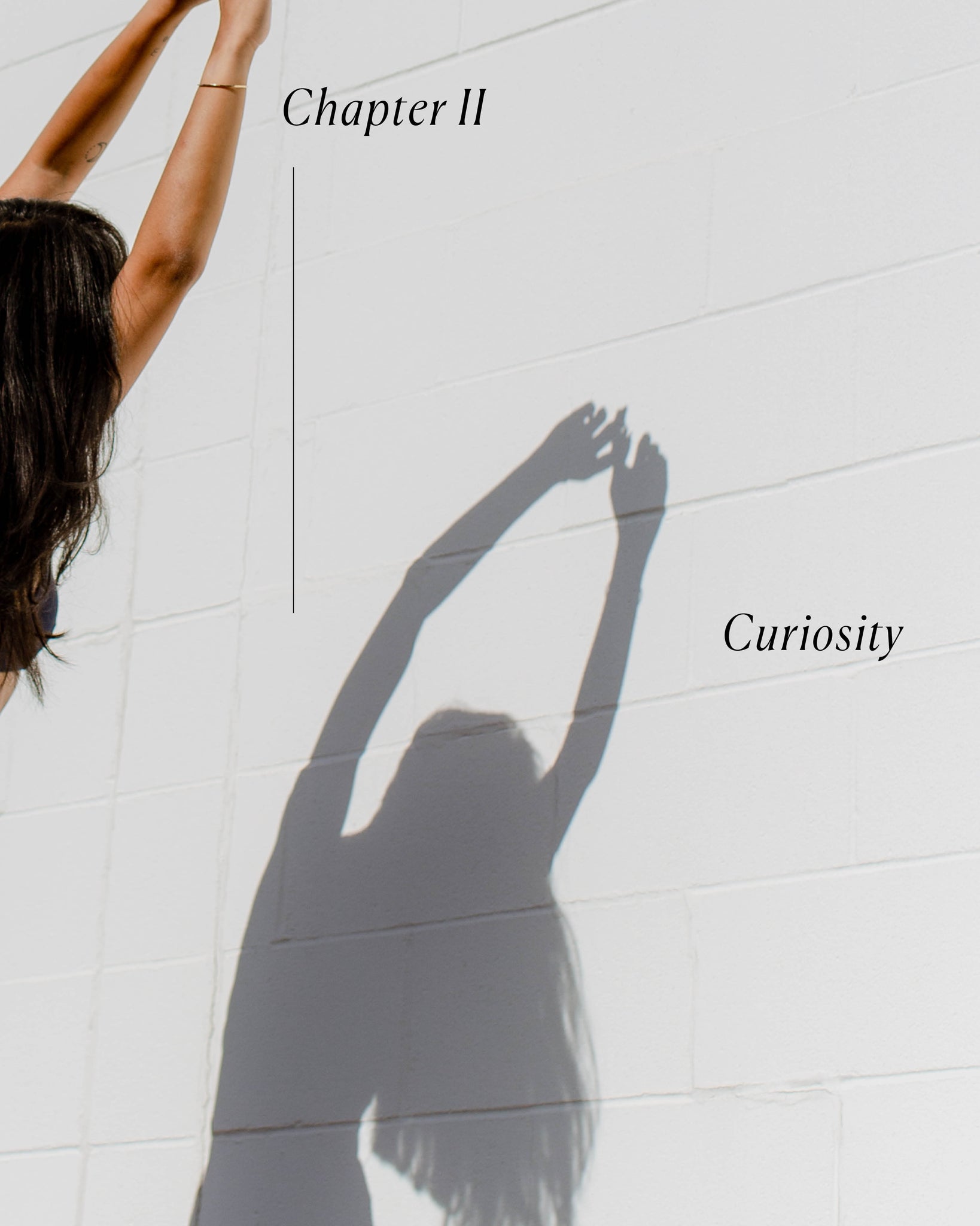 Chapter II - Curiosity