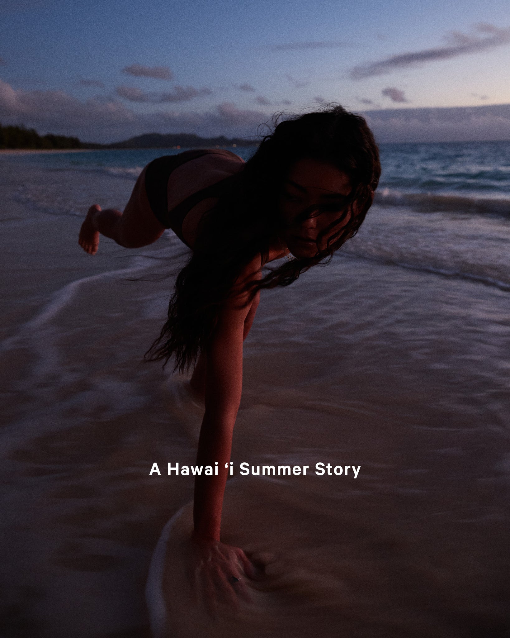 A Hawai 'i Summer Story